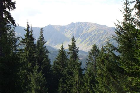 Free Images Landscape Tree Wilderness Trail Mountain Range Ridge