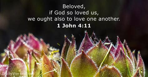 1 John 411 Bible Verse Kjv