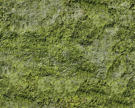 Moss Textures Seamless