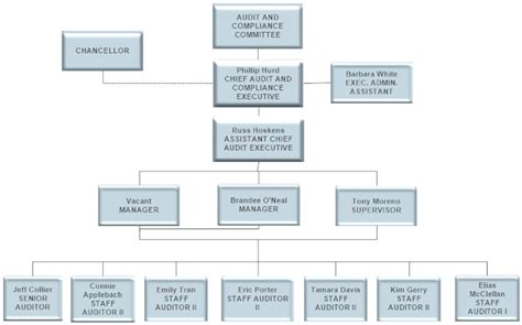 Organization Chart For Internal Audit