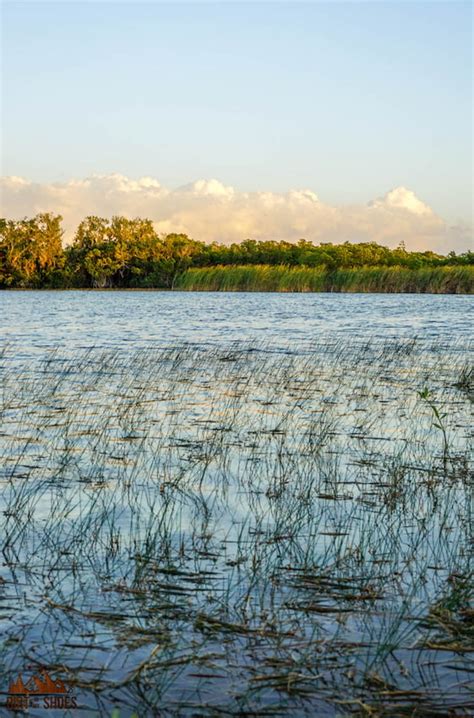 How Many Days Should I Spend In Everglades National Park Dirt In My