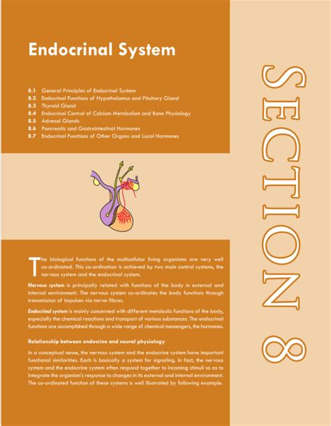 important topics in physiology for mbbs exams endocrine system