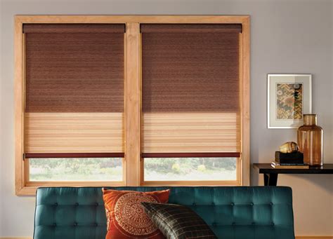 Dual Roller Shades Allows You To Get Shades For The Price Of