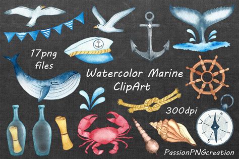 Watercolor Marine Clipart Nautical Watercolor Clip Art Png Etsy