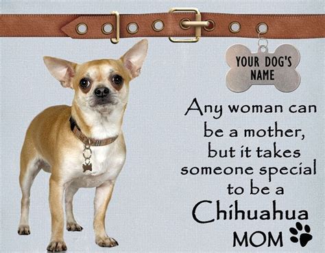 When i see a woman who is all gaunt and emaciated, i dont think shes beautiful. Funny things image by Janina Lahtinen | Chihuahua mom, Chihuahua quotes, Dog names