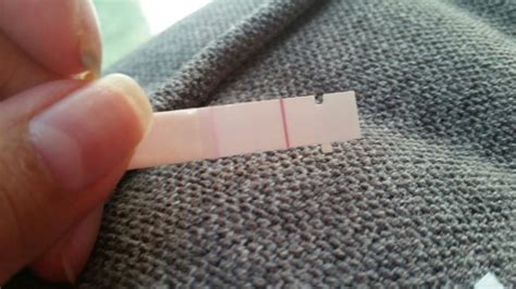 Faint Line On First Response Negative On Dollarama Tests May 2016