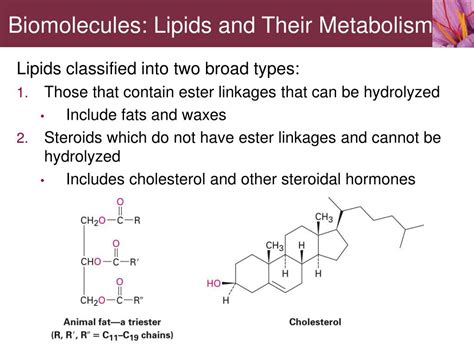 Ppt Biomolecules Lipids And Their Metabolism Powerpoint Presentation