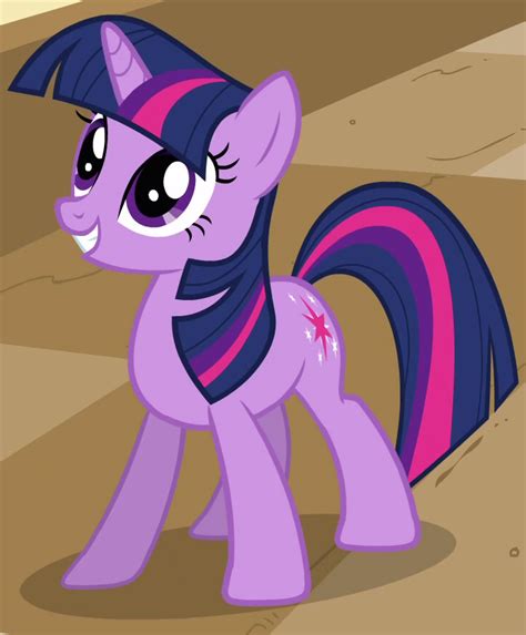 Twilight Sparkle Ss My Little Pony Friendship Is Magic Rakoon1s