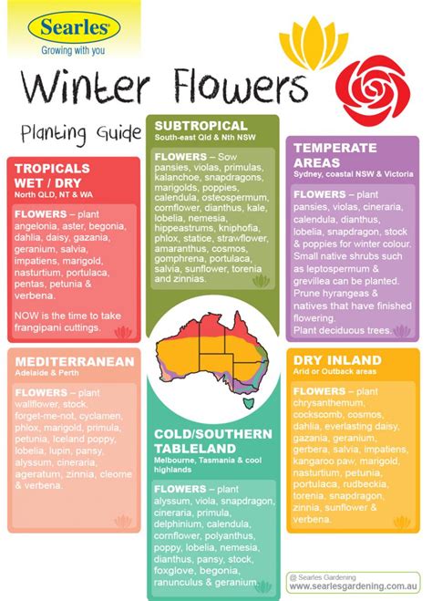 Gardening And Planting Calendar Australian Climates Winter Flowers