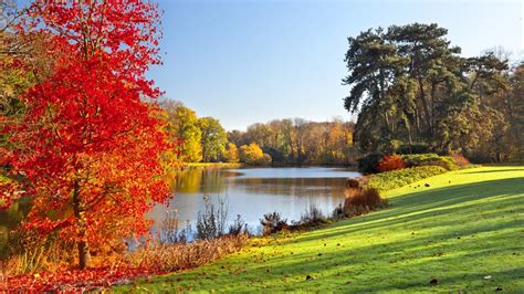 Lake Surrounded By Autumn Leaves Trees Hd Nature Wallpapers Hd