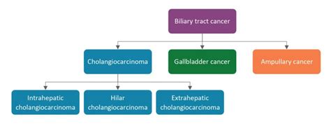 Check spelling or type a new query. About Cholangiocarcinoma | What is Cholangiocarcinoma?