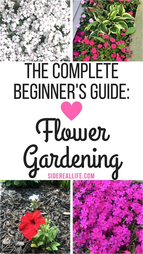 how to start a flower garden for beginners a step by step guide gardening for beginners