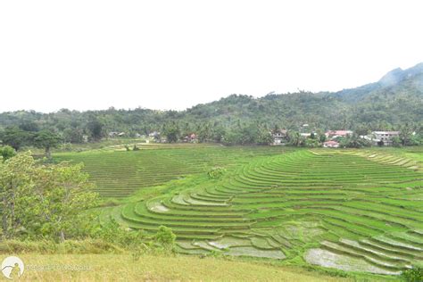 Cadapdapan Rice Terraces A Hidden Gem In Candijay Bohol
