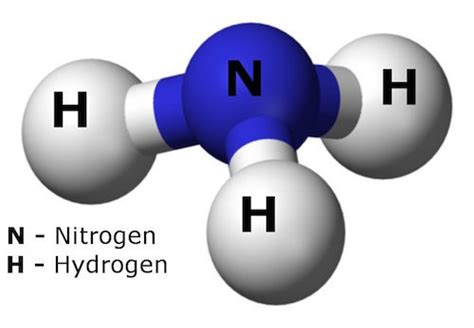 High ammonia levels can cause serious health problems, including brain damage and ammonia, also known as nh3, is a waste product made by your body during the digestion of protein. Missing link for solar hydrogen is... ammonia?