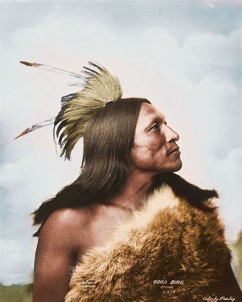 Lakota Sioux Warrior Canvas Print By Patseg Native American Warrior
