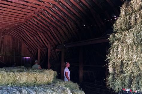 Make Hay While The Sun Shines The Inn At East Hill Farm