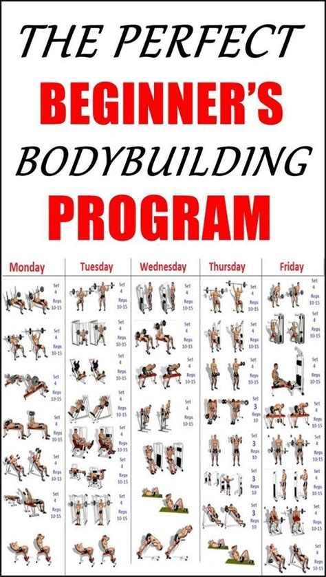 Bodybuilding Exercises Chart For Men