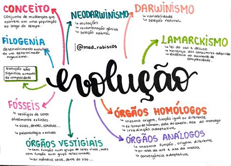 Mapas Mentais Sobre Darwinismo Study Maps