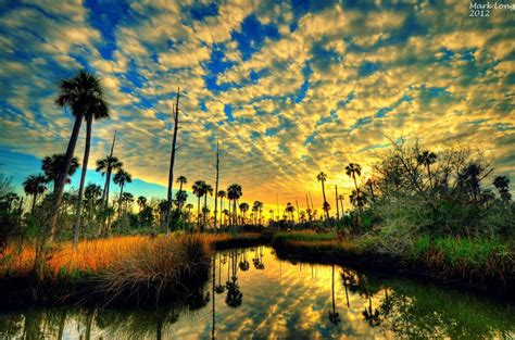 Sunset On Florida S Nature Coast Photo By Mark Long Moving To Florida Old Florida Wonderful