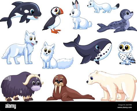 Animales Del Ártico Lobo Polar De Dibujos Animados Tundra Animal Oso