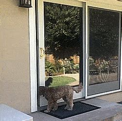 This helps you to get idea of the size of the pet door you are looking to buy. Wayzn: Open Sliding Glass Doors Remotely To Let Dog Out ...