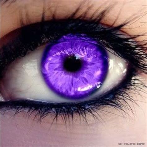 Pin By Phantomess13 On My Polyvore Finds Violet Eyes Purple Eyes