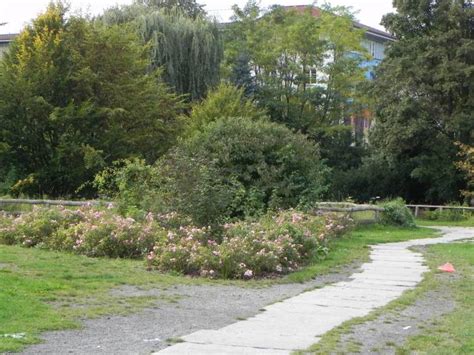 Die ausstellung findet statt im nachbarschaftstreff mittendrin in der sonnenallee 319. Herbert-Krause-Park, Berlin-Neukölln, High-Deck-Siedlung ...