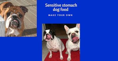 Best dog food for dogs with sensitive stomachs. Sensitive Stomach dog food | Dog food recipes, Pet ...