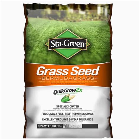 Best Bermuda Grass Seeds Garden Consumers Hot Sex Picture