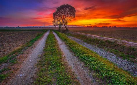 Wallpaper Sunset Fields Road Trees Dusk 1920x1200 Hd Picture Image