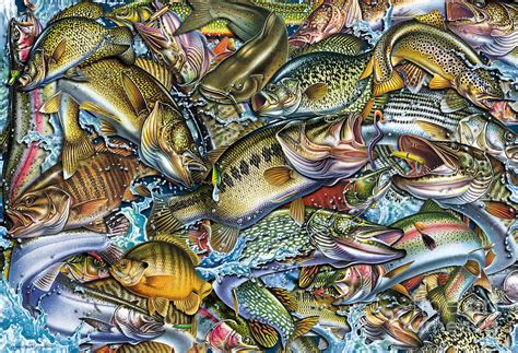 Action Fish Collage Painting By Jq Licensing Fine Art America