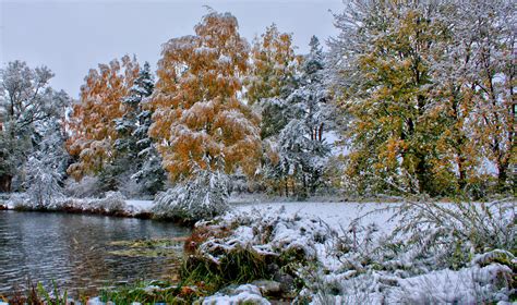 nature, Landscapes, Trees, Forests, Autumn, Fall, Seasons, Winter, Snow, Frost, Shore, Lakes ...