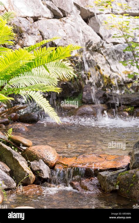 Water Streaming In Creek Stock Photo Alamy