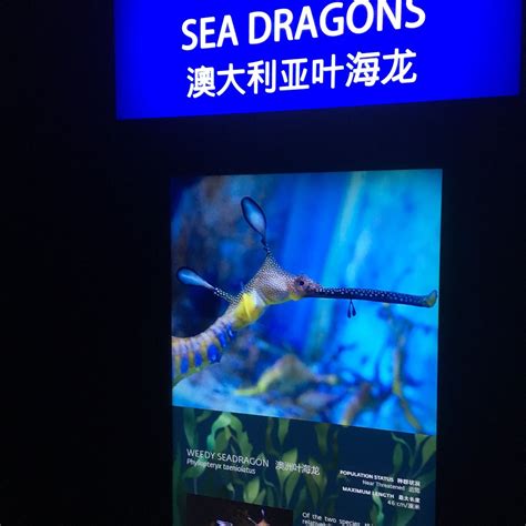 Sea Aquarium Singapore One Day Pass Eticket 2021