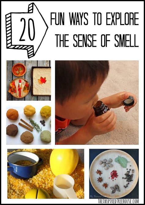 Art activities get much more intricate and focused when toddlers become preschoolers. ACTIVITIES FOR KIDS: 20 FUN WAYS TO EXPLORE THE SENSE OF ...
