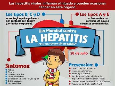 Síntesis de artículos como se transmite la hepatitis actualizado