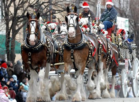 Lebanon Horse Drawn Carriage Parade And Festival Is A Festive Tradition