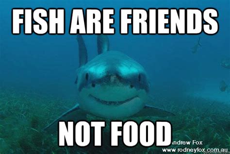 People Are Friends Not Food Good Guy Shark Quickmeme