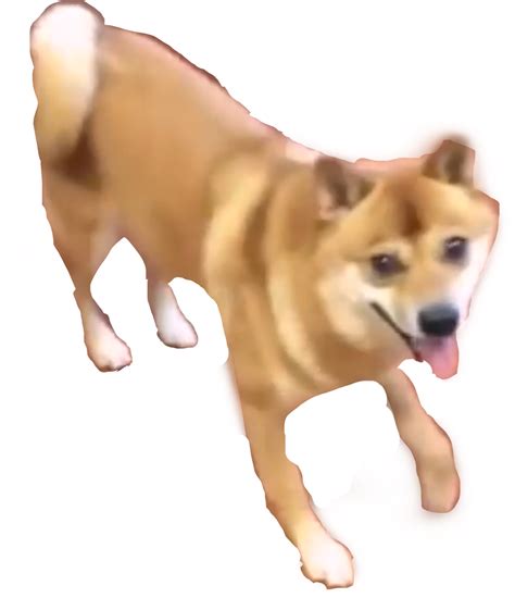 46 Meme  Transparent Doge Dancing 