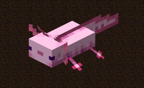 Axolotls May Finally Be Coming To Minecraft Mudfooted