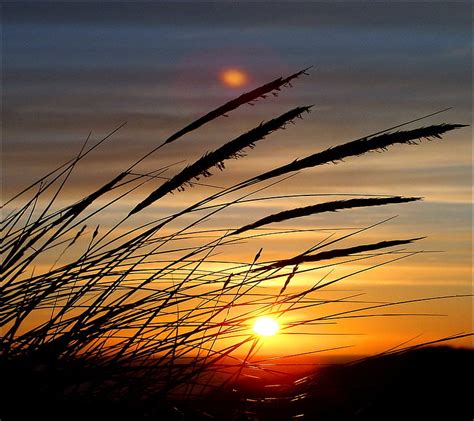 Sunset Grass Sky Hd Wallpaper Peakpx