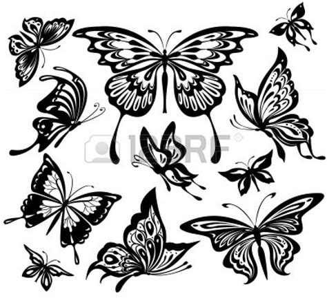 Ensemble De Papillons Noir Et Blancs Photo Butterfly Images Butterfly