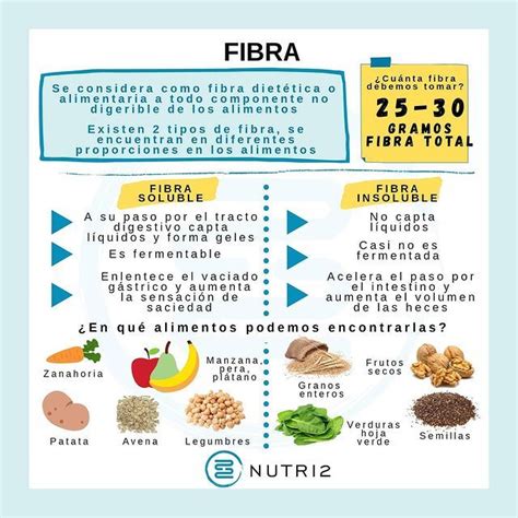 Fibra Soluble E Insoluble ¿qué Es Nutri2 Alimentos Ricos En