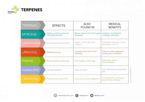 The Properties Of Terpenes In Medical Cannabis Kalapa Clinic