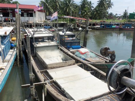 Asam pedas muar biasanya boleh didapati di parit jawa. WARNA-WARNI KEHIDUPANKU ;): PEKENA ASAM PEDAS DI PARIT ...