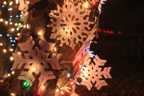 Christmas Tree Snow Symbols Lights