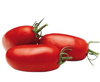 Rotten tomatoes, home of the tomatometer, is the most trusted measurement of quality for movies & tv. Tomate Romanella | Saveol