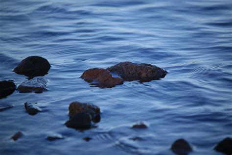 Free Images Sea Coast Nature Rock Ocean Horizon Cloud Sunset