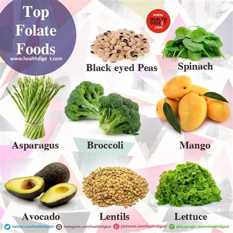 Folate (folic acid) overview for health professionals. Linda's Voice: Top Folate Foods