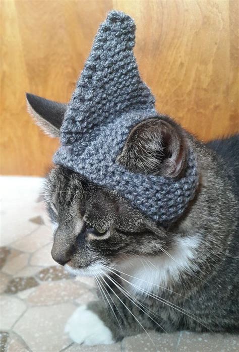 Shark Cat Hat Knit Hat For Cat Cat Costume Halloween Etsy Cat Hats